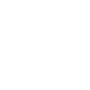 Prancheta 6